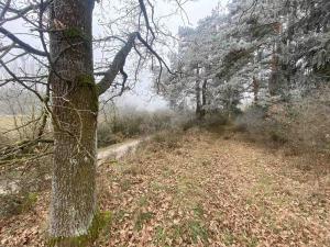 Prodej pole, Slatina, 11302 m2