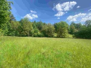 Prodej pole, Odry, 872 m2