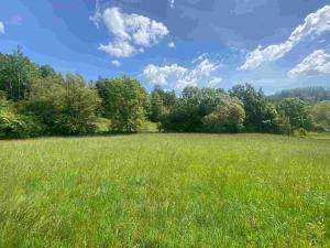 Prodej pole, Odry, 872 m2