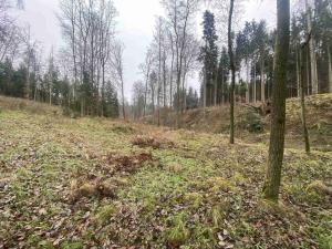 Prodej pozemku, Hosín - Dobřejovice, 10244 m2