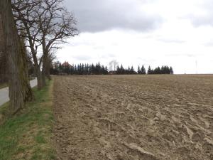 Prodej komerčního pozemku, Cehnice, 9229 m2