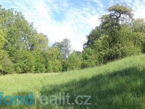 Prodej pole, Děčín - Děčín XXXIV-Chlum, 15764 m2