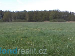 Prodej pole, Dříteň - Záblatí, 949 m2