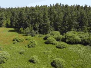 Prodej pozemku, Jílovice, 20535 m2