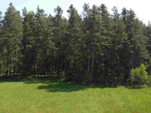 Prodej pozemku, Jílovice, 20535 m2