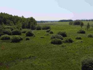 Prodej pozemku, Jílovice, 20535 m2