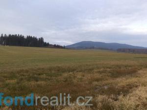 Prodej pole, Horní Planá, 45926 m2
