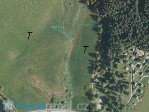 Prodej pole, Horní Planá, 45926 m2