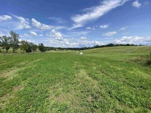 Prodej pole, Lhenice - Hrbov, 55481 m2