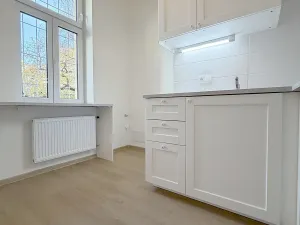 Pronájem bytu 3+1, Praha - Vinohrady, Perunova, 64 m2