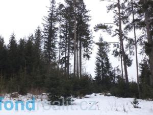 Prodej pozemku, Nová Bystřice - Blato, 19660 m2