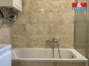 Pronájem bytu 3+kk, České Budějovice - České Budějovice 6, Vrchlického nábř., 91 m2