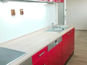 Pronájem bytu 2+kk, Kozojedy, 46 m2