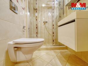 Prodej bytu 1+1, Karlovy Vary, Svahová, 50 m2