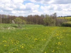 Dražba pozemku, Vítkov, 5357 m2