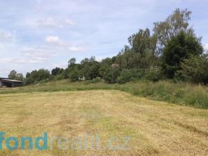 Prodej pozemku, Skořice, 11739 m2