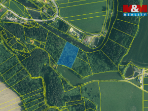 Prodej lesa, Římov - Branišovice, 6543 m2