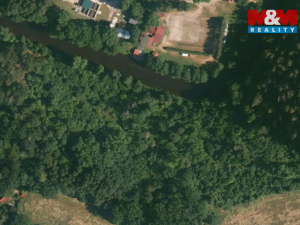 Prodej lesa, Římov - Branišovice, 6543 m2