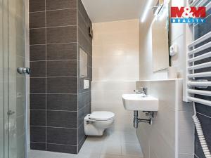 Pronájem bytu 1+1, Děčín, Na Pěšině, 34 m2