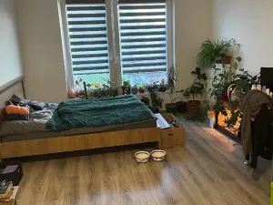 Pronájem bytu 1+kk, Pardubice, Na Spravedlnosti, 36 m2