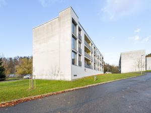 Prodej bytu 1+1, Týnec nad Sázavou - Brodce, Na Kněžině, 39 m2