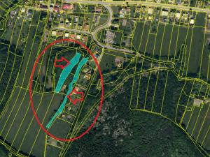 Prodej lesa, Háj ve Slezsku, 4689 m2