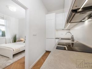 Prodej bytu 2+kk, Praha - Žižkov, Přemyslovská, 49 m2