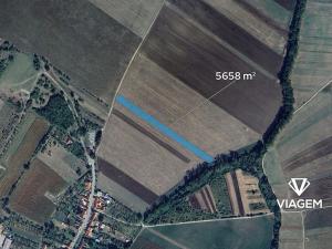 Prodej podílu pole, Malá Vrbka, 2121 m2