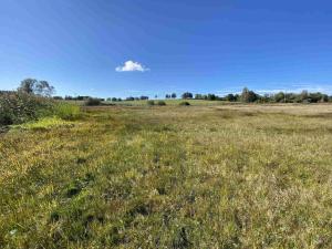 Prodej pole, Nový Rychnov - Čejkov, 7207 m2