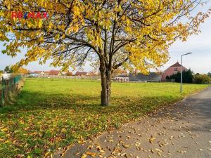 Prodej pozemku pro bydlení, Všechlapy, 1072 m2