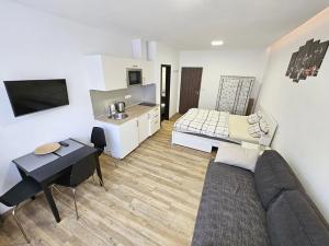 Pronájem bytu 1+kk, Praha - Nové Město, Opletalova, 22 m2