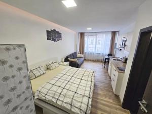 Pronájem bytu 1+kk, Praha - Nové Město, Opletalova, 22 m2