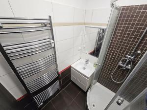 Pronájem bytu 1+kk, Praha - Nové Město, Opletalova, 22 m2