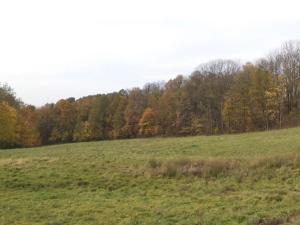 Dražba louky, Nový Jičín, 6670 m2