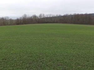 Dražba louky, Srby, 19946 m2