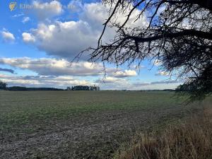 Prodej podílu lesa, Březovice, 36905 m2