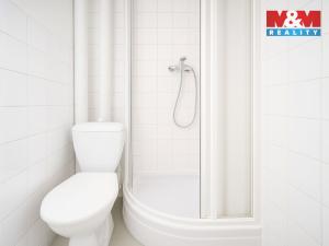 Prodej ubytování, Železná Ruda - Hojsova Stráž, 1085 m2