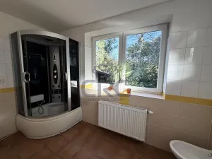 Prodej rodinného domu, Mokrá-Horákov, 240 m2