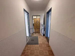 Pronájem rodinného domu, Čebín, 201 m2