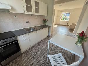 Pronájem bytu 1+1, Frýdek-Místek, Petra Cingra, 44 m2