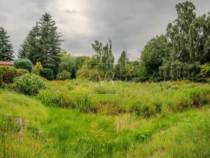 Prodej komerční nemovitosti, Sulice, Hlavní, 370 m2