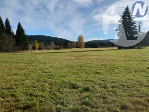 Prodej pozemku, Borová Lada, 7953 m2