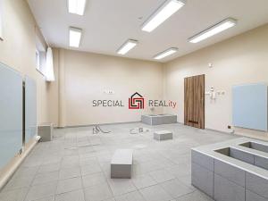 Prodej obchodního prostoru, Ostrava, U Staré elektrárny, 533 m2