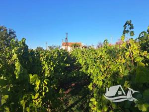 Prodej rodinného domu, Burgas, Bulharsko, 36 m2