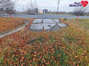 Prodej komerčního pozemku, Neplachovice, Na Nivě, 7386 m2