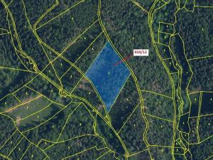 Dražba lesa, Jílové u Držkova, 10166 m2