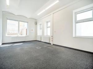 Prodej rodinného domu, Mladá Boleslav, Ptácká, 305 m2