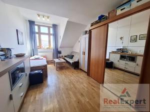 Pronájem bytu 5+kk, Praha - Vinohrady, Máchova, 166 m2