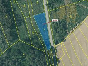 Dražba lesa, Budíškovice, 1817 m2