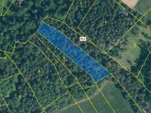 Dražba lesa, Kovčín, 2882 m2